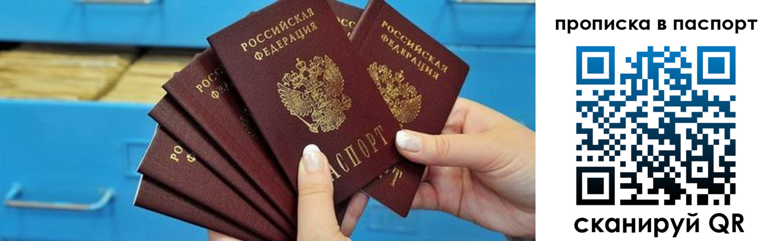 прописка в Александровске-Сахалинском
