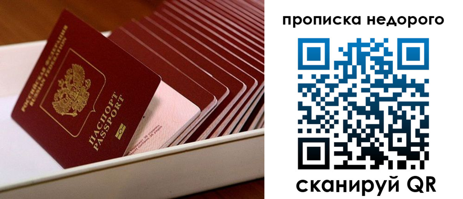 прописка паспорт в Александровске-Сахалинском